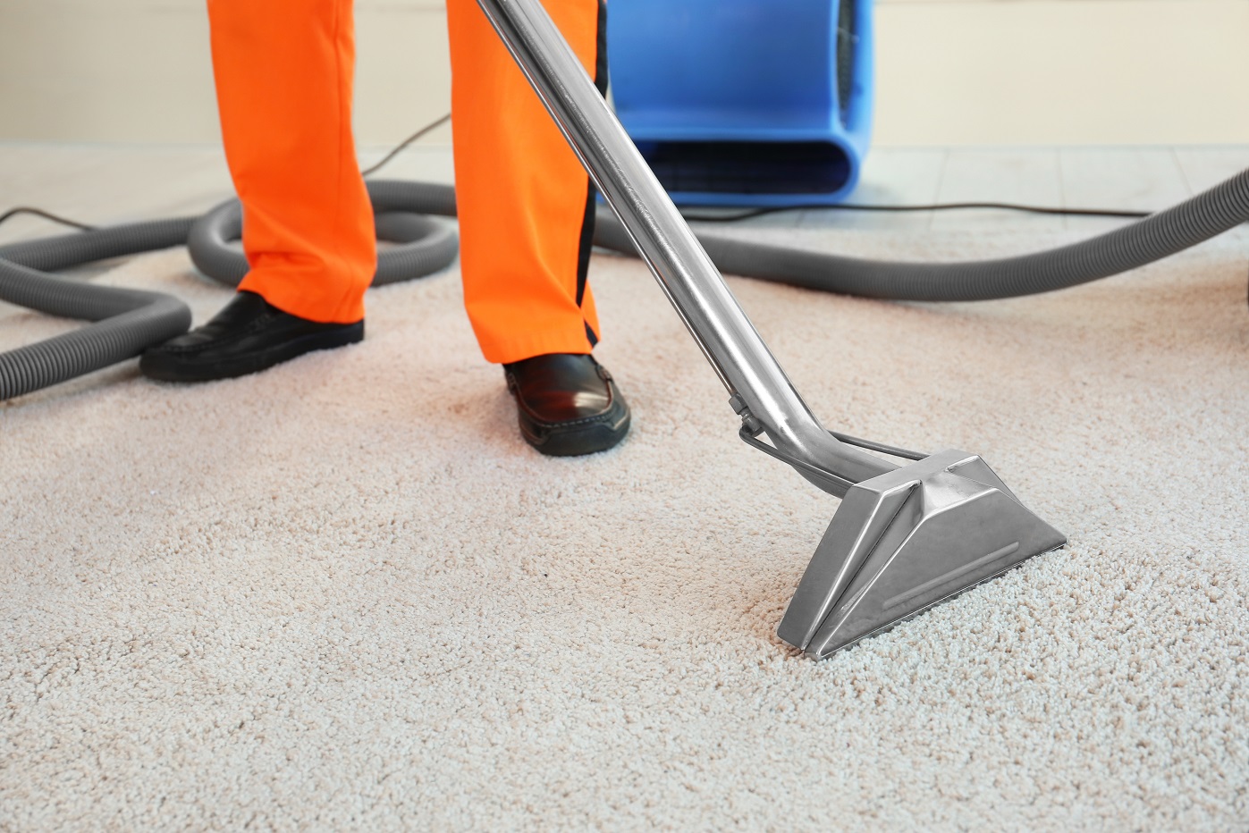 Best Dog Urine Carpet Treatment Placer County Cleaning Experts